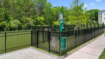 Bark park